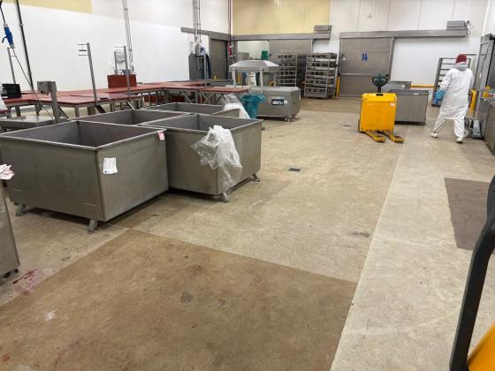 Gietvloer - vleesverwerkend bedrijf